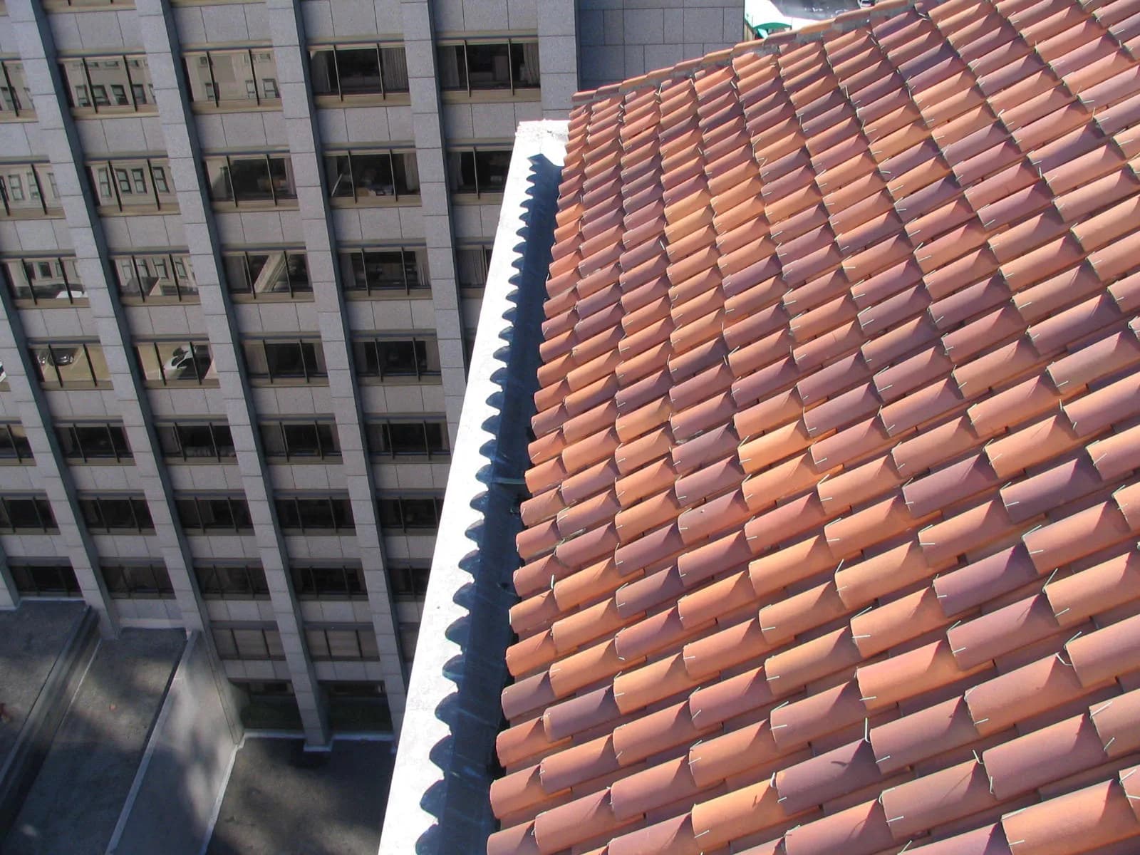 View across rooftops during an inspection showing roof types and conditions