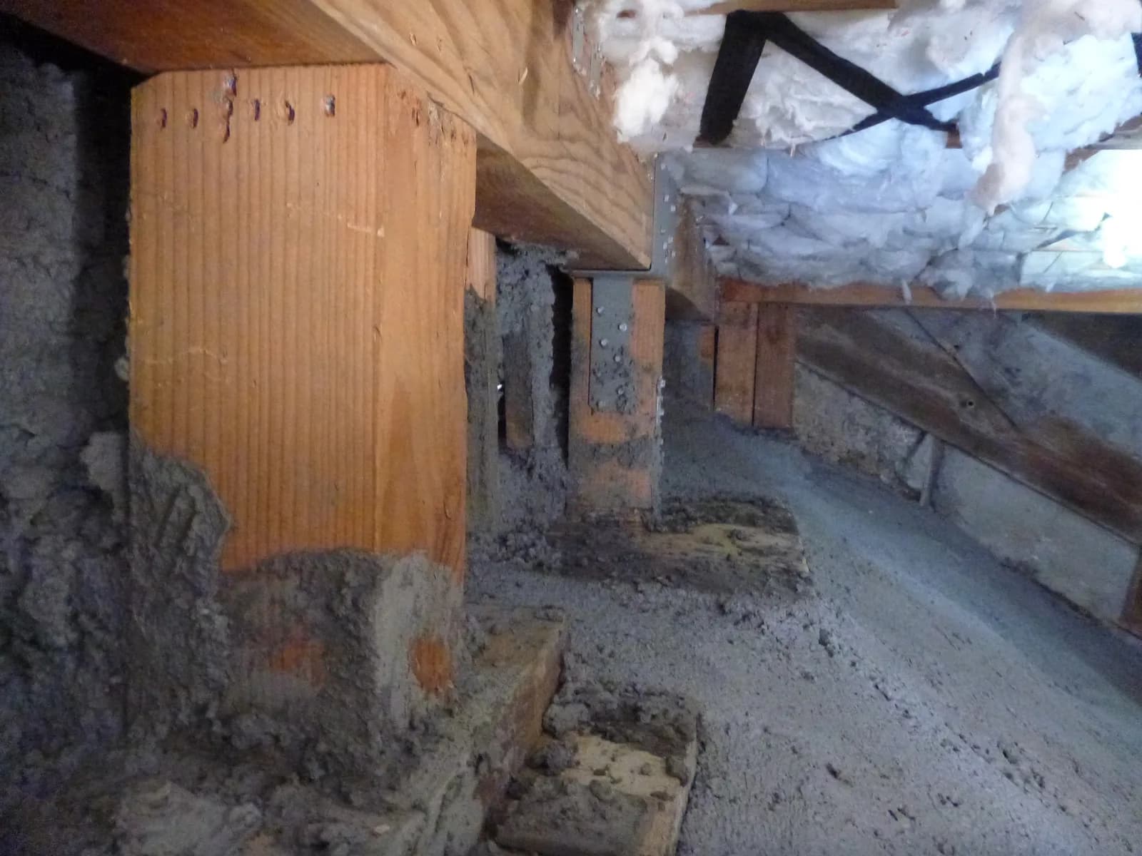 Site conditions documented as evidence during a forensic investigation