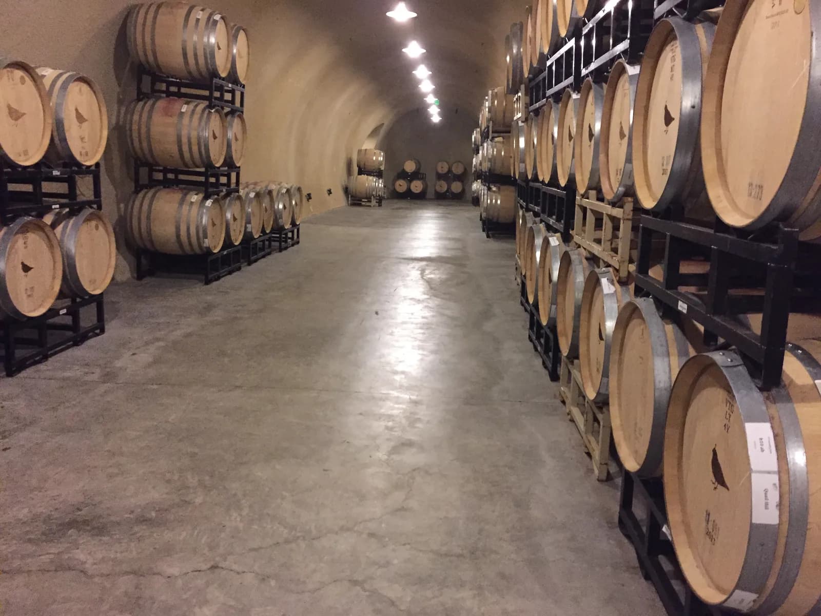 Wine barrel cave lined with racked oak barrels at a California winery